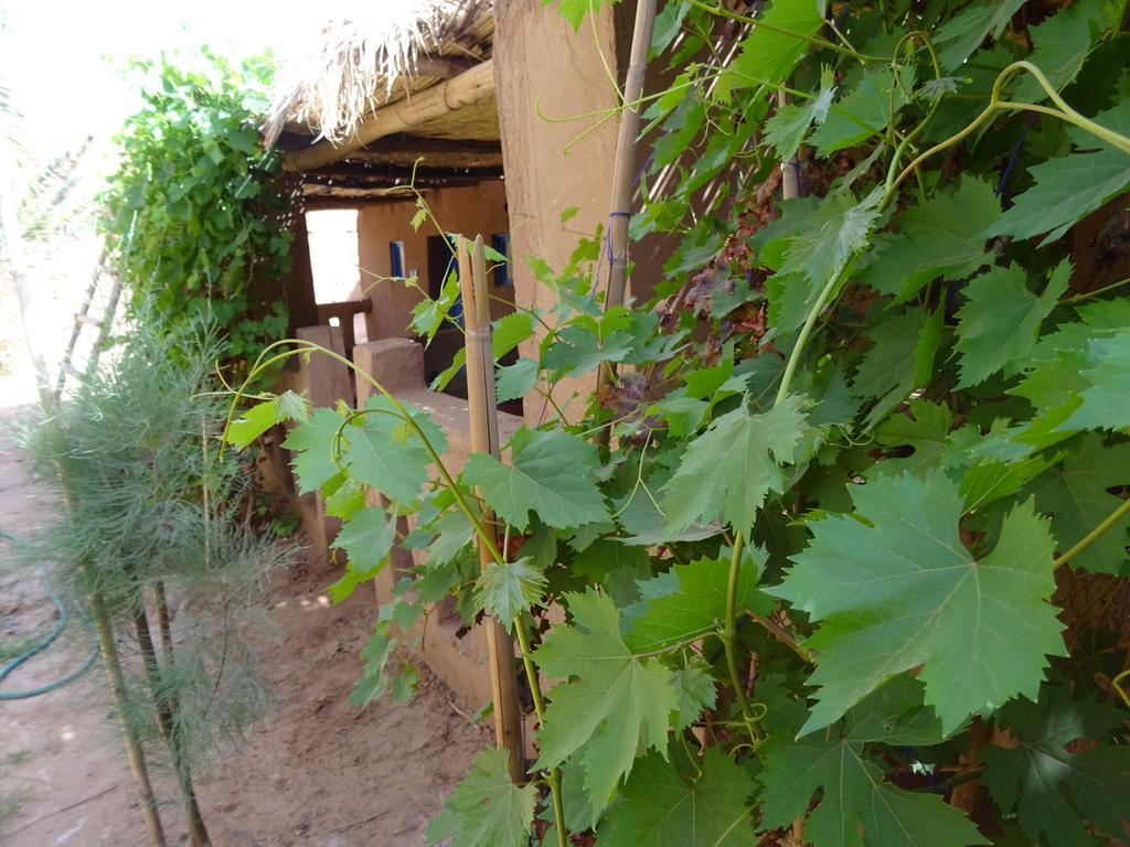 Auberge Tigida M'Hamid Kültér fotó